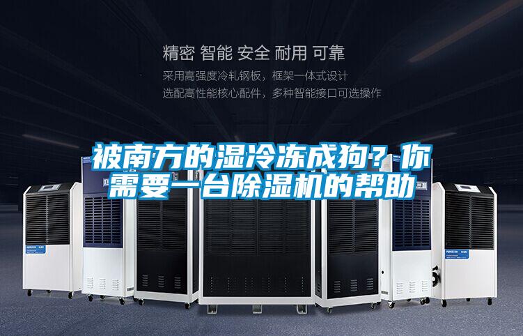 被南方的湿冷冻成狗?你需要一台除湿机的帮助