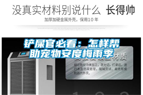 铲屎官必看:怎样帮助宠物安度梅雨季