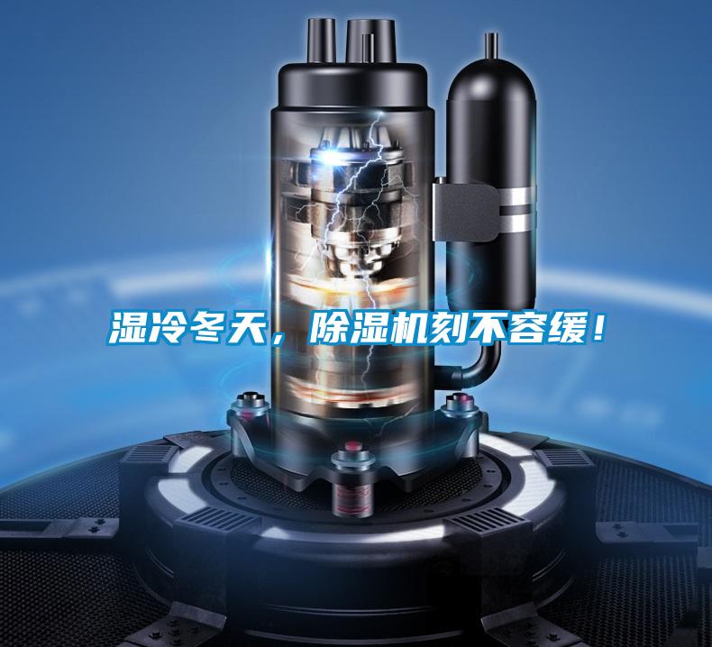 湿冷冬天,除湿机刻不容缓!