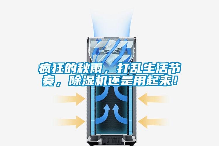 疯狂的秋雨,打乱生活节奏,除湿机还是用起来!