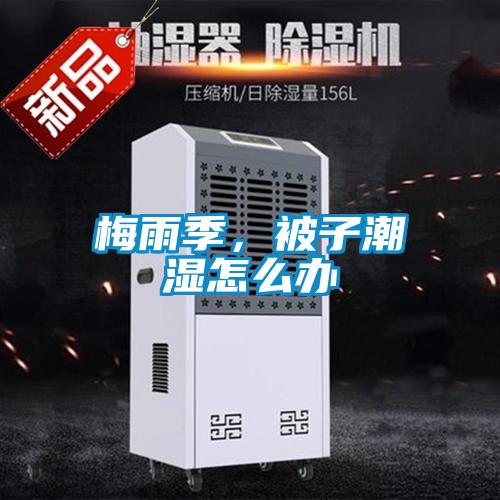 梅雨季,被子潮湿怎么办