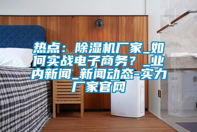 热点:除湿机厂家_如何实战电子商务?_业内新闻_新闻动态-实力厂家官网