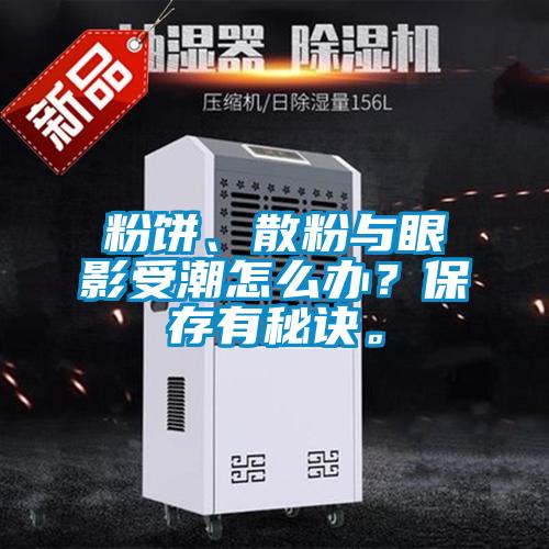 粉饼、散粉与眼影受潮怎么办?保存有秘诀。