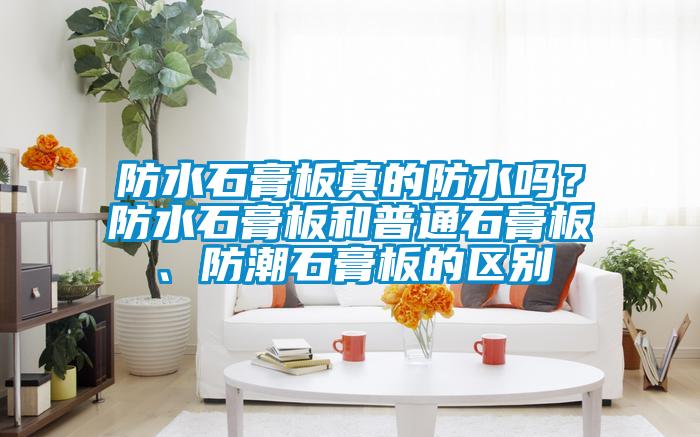 防水石膏板真的防水吗?防水石膏板和普通石膏板、防潮石膏板的区别
