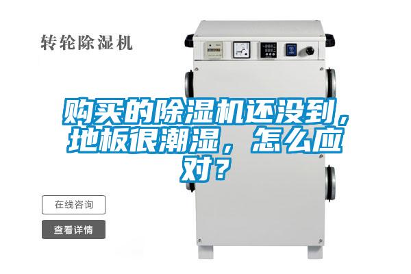 购买的除湿机还没到,地板很潮湿,怎么应对?