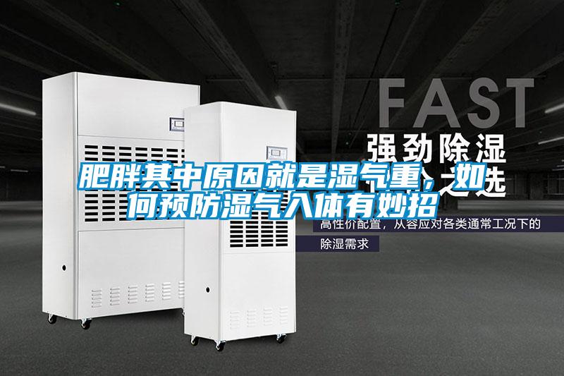 肥胖其中原因就是湿气重,如何预防湿气入体有妙招