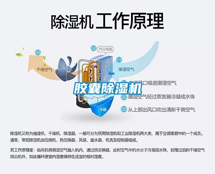 胶囊除湿机
