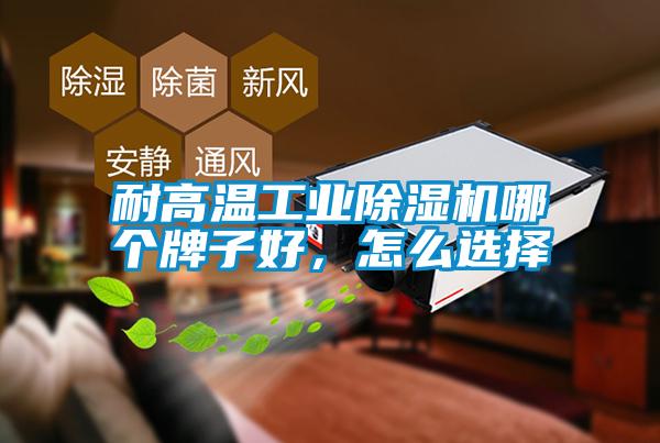 耐高温工业除湿机哪个牌子好,怎么选择