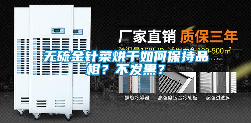 无硫金针菜烘干如何保持品相?不发黑?