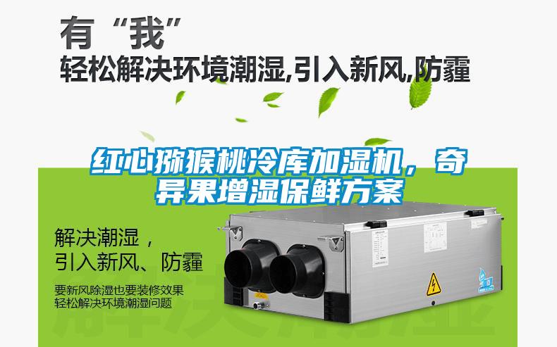 红心猕猴桃冷库加湿机,奇异果增湿保鲜方案