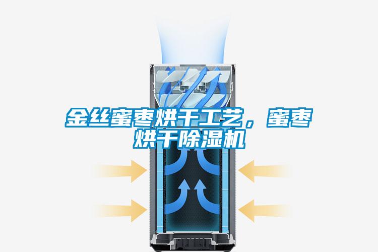 金丝蜜枣烘干工艺,蜜枣烘干除湿机