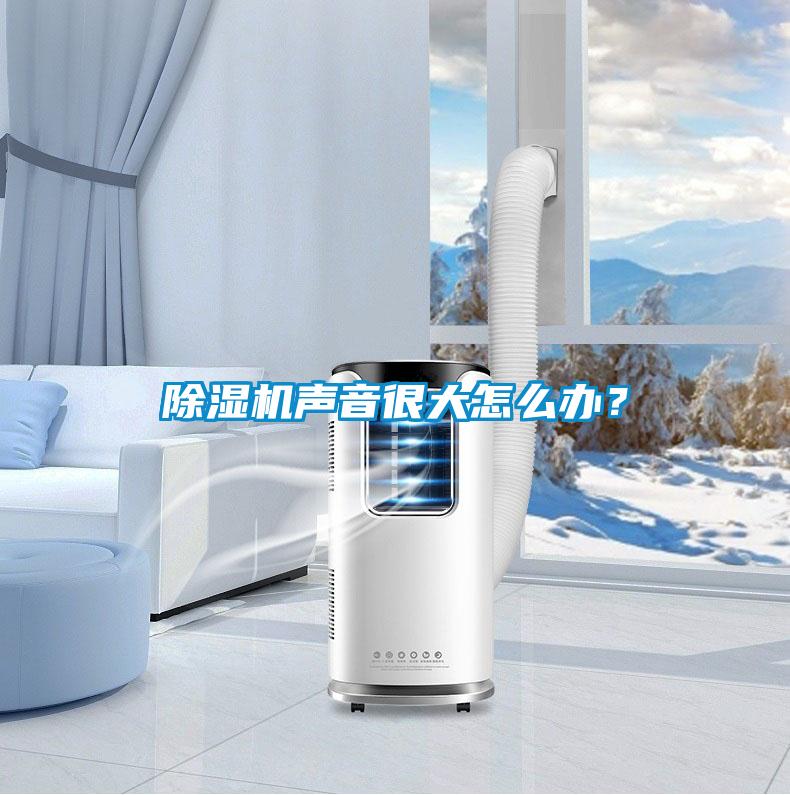 除湿机声音很大怎么办?