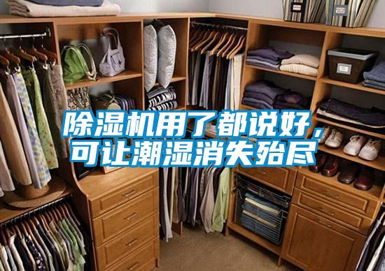 除湿机用了都说好,可让潮湿消失殆尽