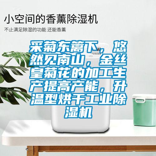 采菊东篱下,悠然见南山,金丝皇菊花的加工生产提高产能,升温型烘干工业除湿机