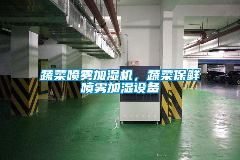 蔬菜喷雾加湿机,蔬菜保鲜喷雾加湿设备