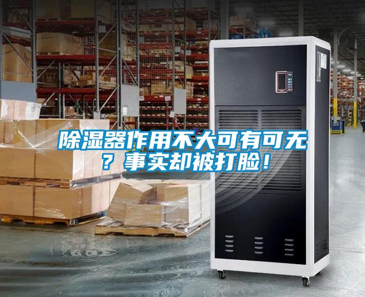 除湿器作用不大可有可无?事实却被打脸!