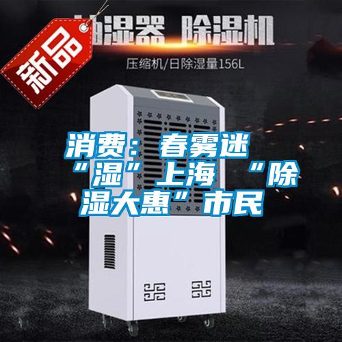 消费:春雾迷“湿”上海 “除湿大惠”市民