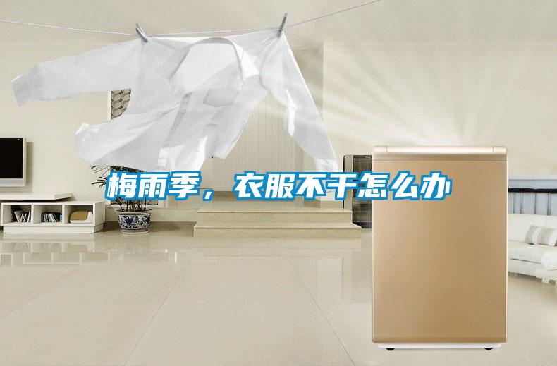 梅雨季,衣服不干怎么办