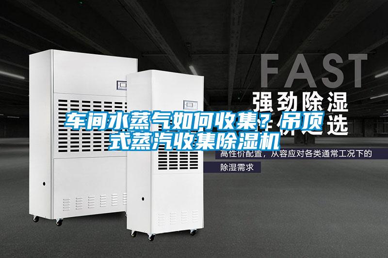 车间水蒸气如何收集?吊顶式蒸汽收集除湿机