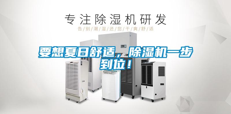 要想夏日舒适,除湿机一步到位!