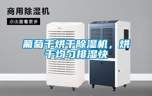 葡萄干烘干除湿机,烘干均匀排湿快