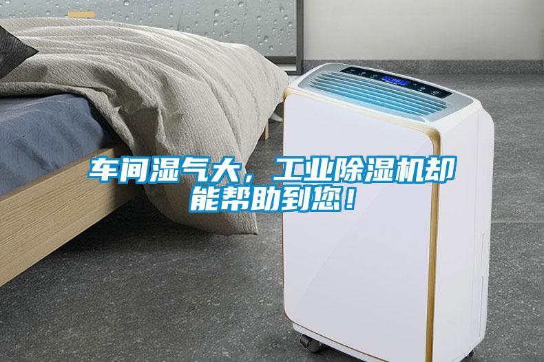 车间湿气大,工业除湿机却能帮助到您!