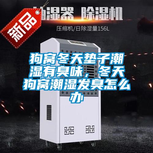 狗窝冬天垫子潮湿有臭味,冬天狗窝潮湿发臭怎么办