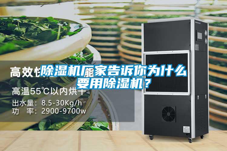除湿机厂家告诉你为什么要用除湿机?