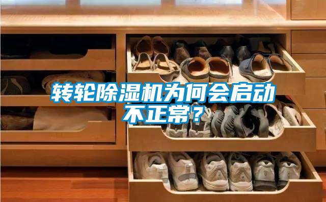 转轮除湿机为何会启动不正常?
