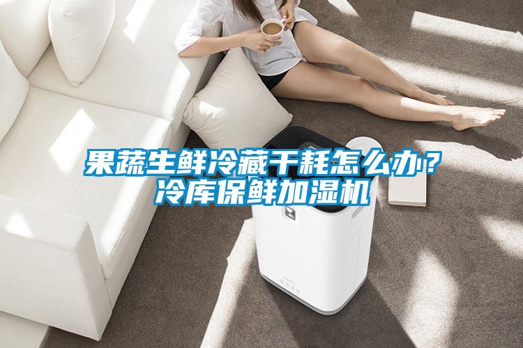 果蔬生鲜冷藏干耗怎么办?冷库保鲜加湿机