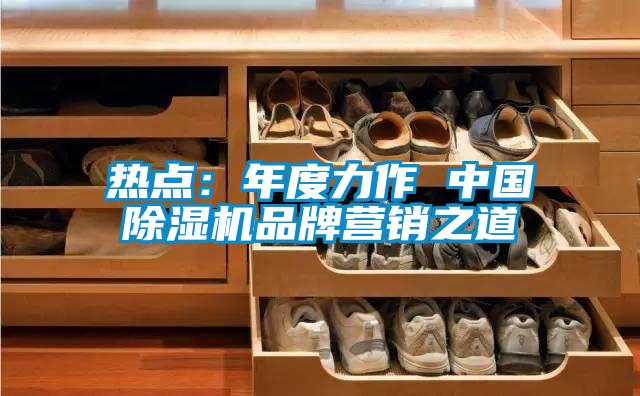 热点:年度力作 中国除湿机品牌营销之道