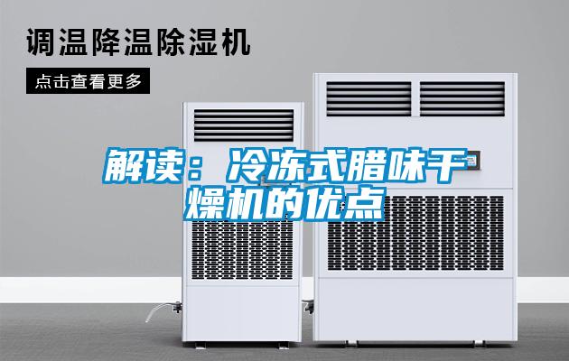 解读:冷冻式腊味干燥机的优点