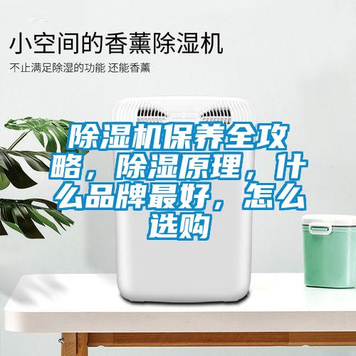 除湿机保养全攻略,除湿原理,什么品牌最好,怎么选购
