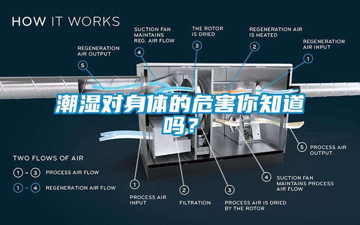 潮湿对身体的危害你知道吗?