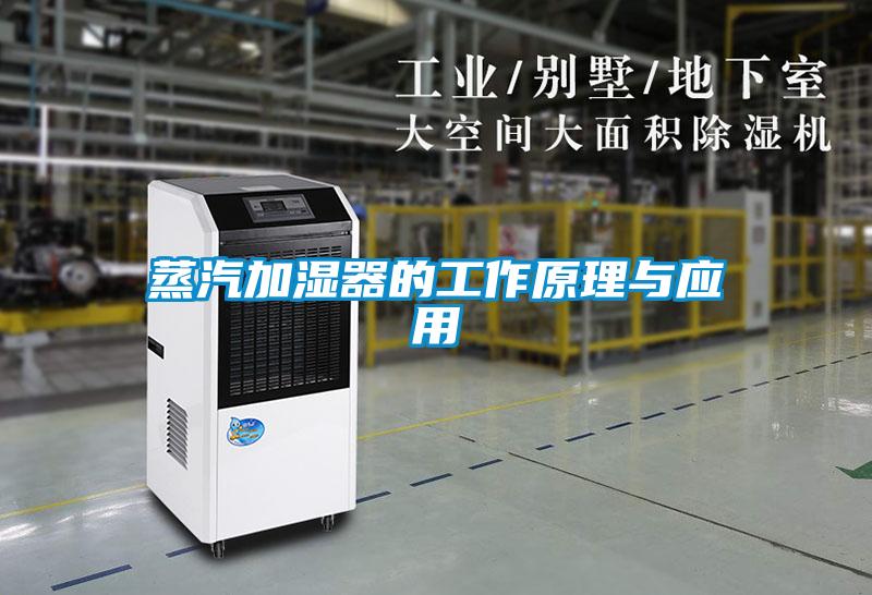 蒸汽加湿器的工作原理与应用