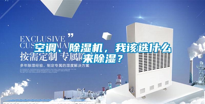 空调、除湿机,我该选什么来除湿?