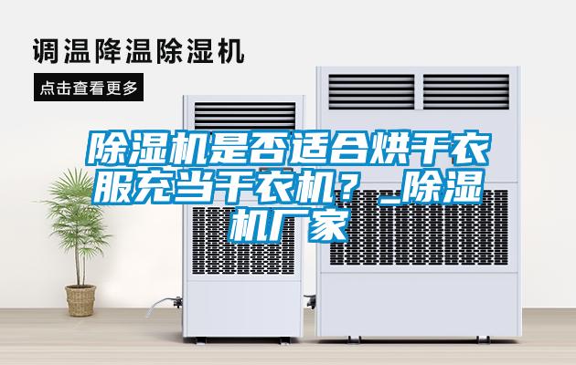 除湿机是否适合烘干衣服充当干衣机?_除湿机厂家
