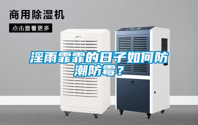淫雨霏霏的日子如何防潮防霉?