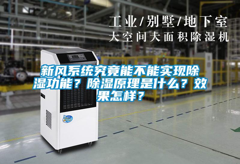 新风系统究竟能不能实现除湿功能?除湿原理是什么?效果怎样?