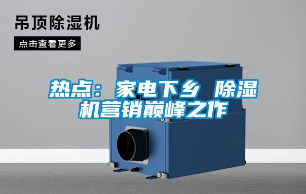 热点:家电下乡 除湿机营销巅峰之作