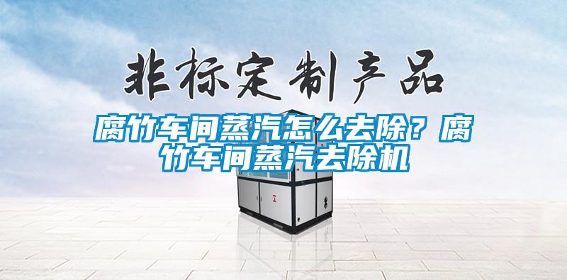 腐竹车间蒸汽怎么去除?腐竹车间蒸汽去除机
