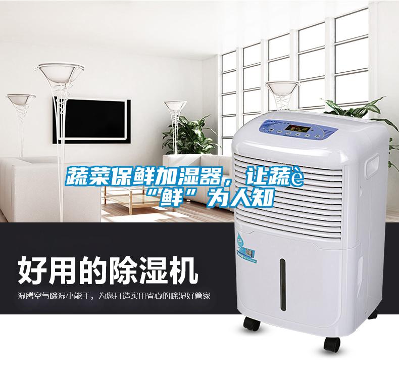 蔬菜保鲜加湿器,让蔬菜“鲜”为人知