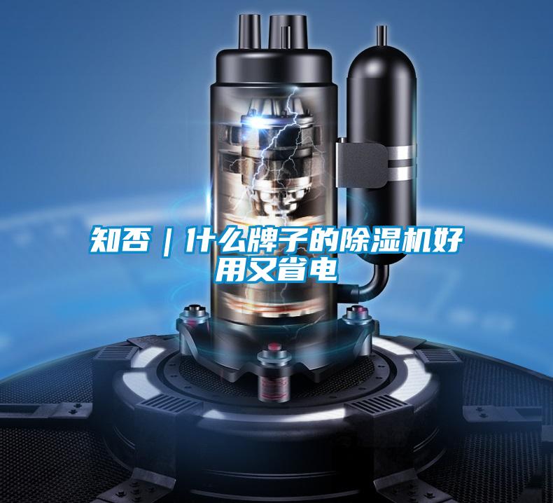 知否|什么牌子的除湿机好用又省电