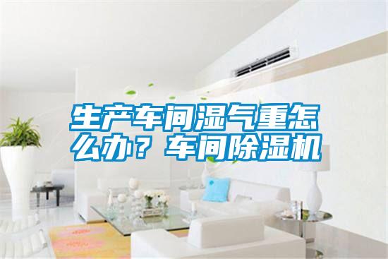 生产车间湿气重怎么办?车间除湿机