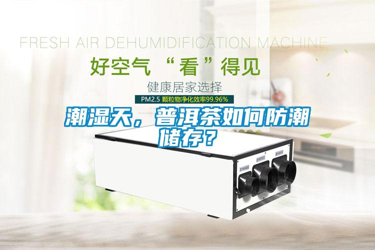 潮湿天,普洱茶如何防潮储存?