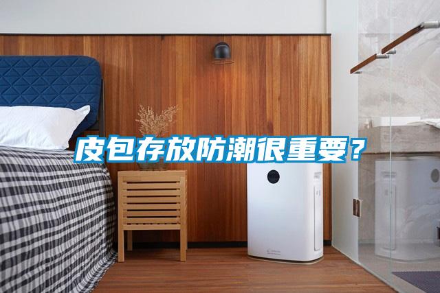 皮包存放防潮很重要?
