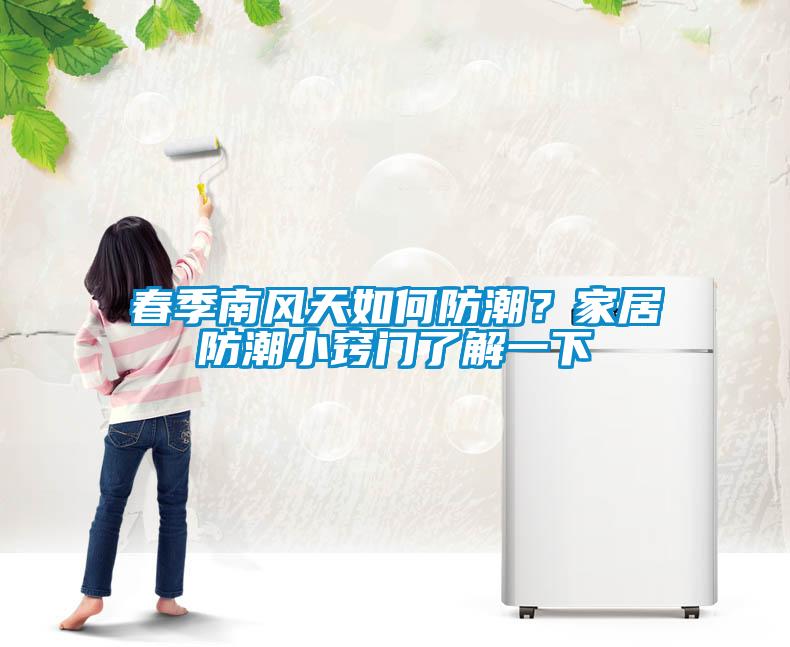 春季南风天如何防潮?家居防潮小窍门了解一下