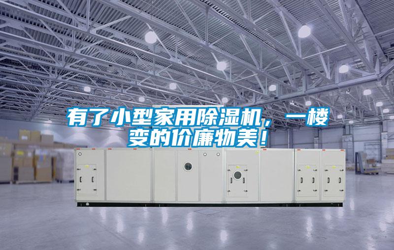 有了小型家用除湿机,一楼变的价廉物美!