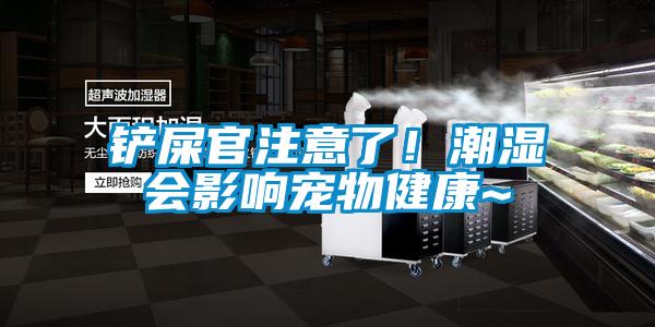 铲屎官注意了!潮湿会影响宠物健康~