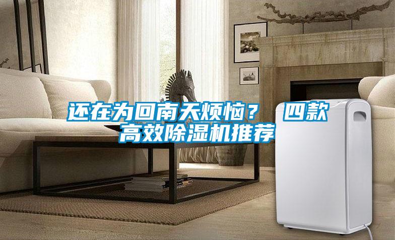 还在为回南天烦恼? 四款高效除湿机推荐